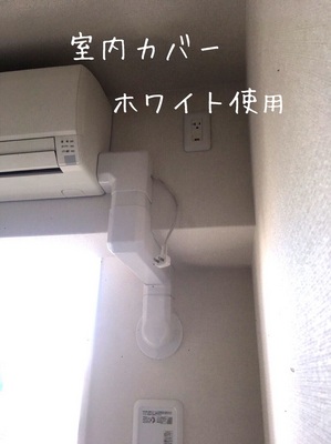 S__25231368.jpg
