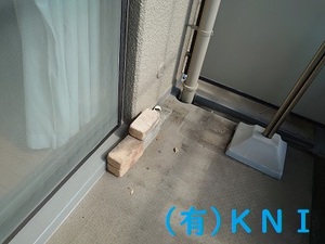 201002_9.jpg